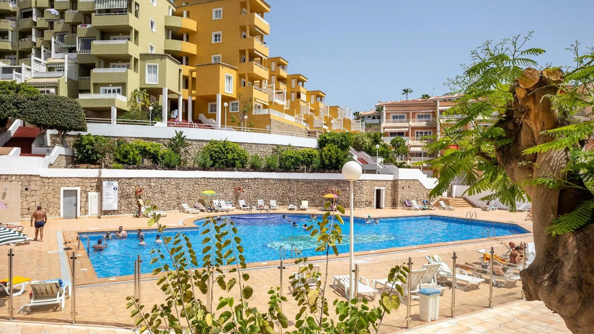 Best Ocean View Ever Home Orlando By Lovetenerife Costa Adeje  Apartment Costa Adeje (Tenerife)